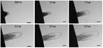 Rubber-like elasticity in laser-driven free surface flow of a Newtonian fluid